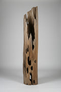Driftwood hollow cypress tree
